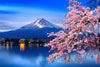 Sakura In Spring Wall Art