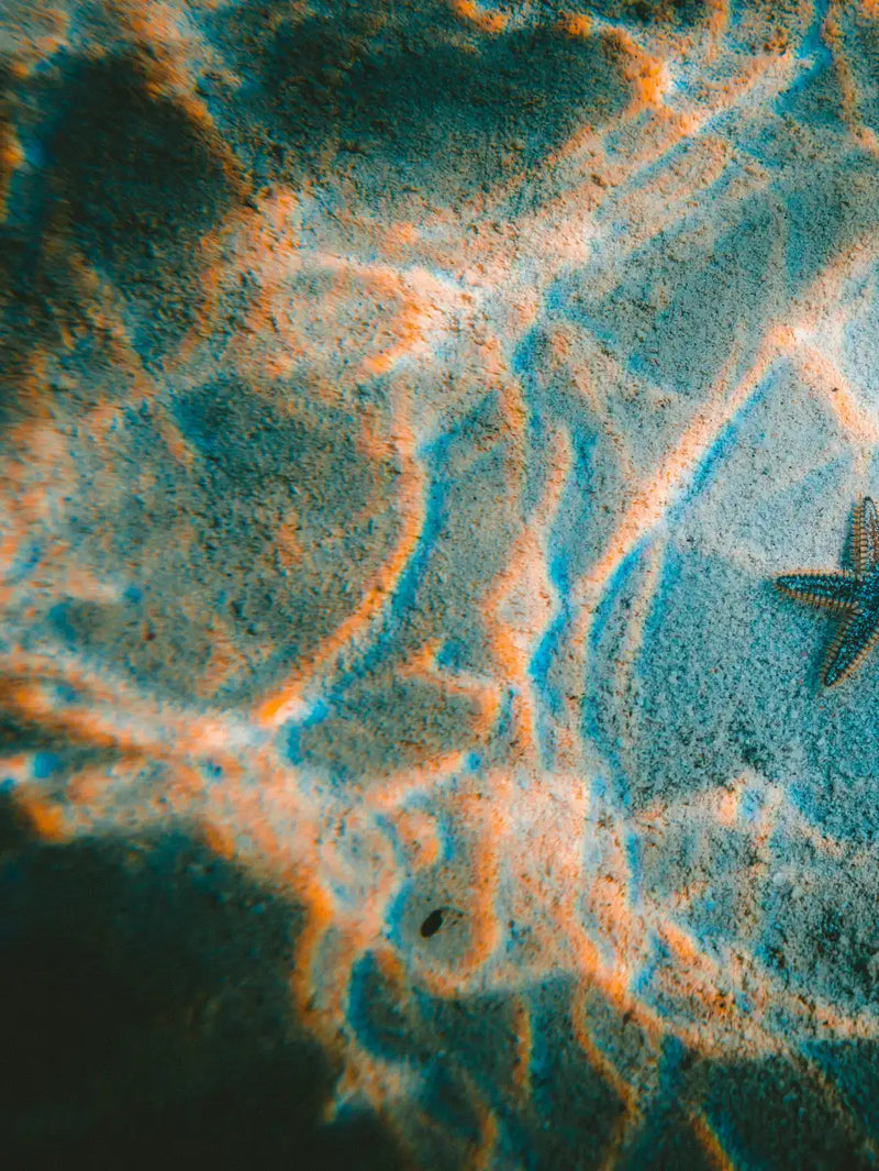 Sandy Underwater Starfish Wall Art