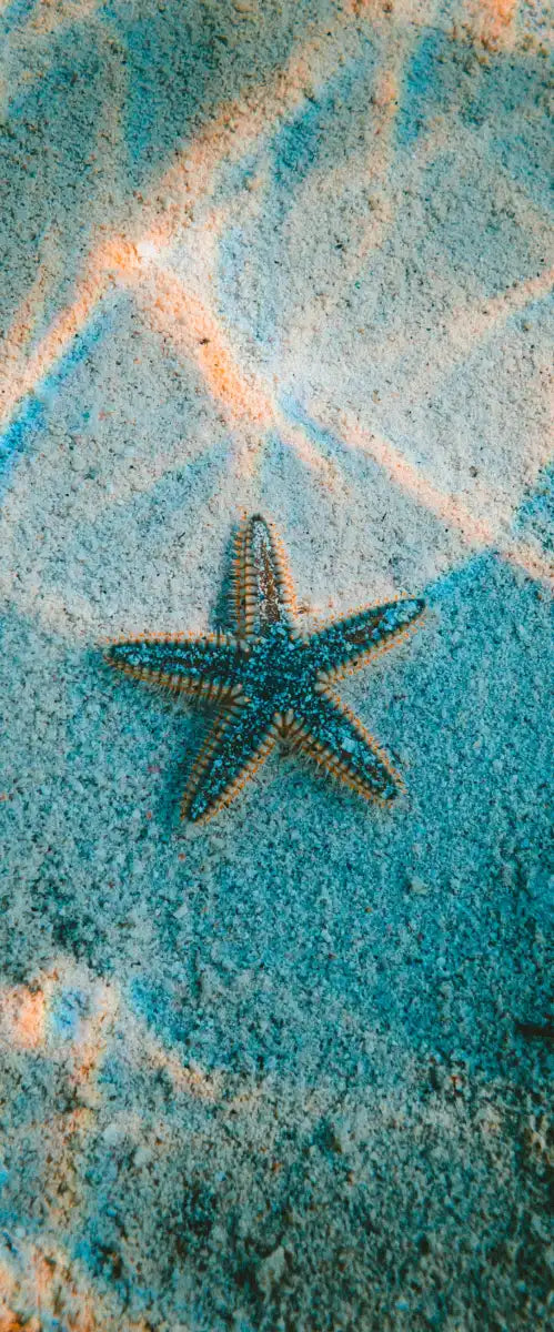 Sandy Underwater Starfish Wall Art