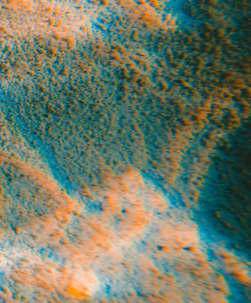 Sandy Underwater Starfish Wall Art