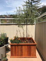 Santa Clara Redwood Planter Box