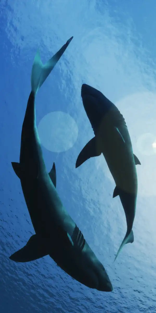 School Of Sharks Wall Art