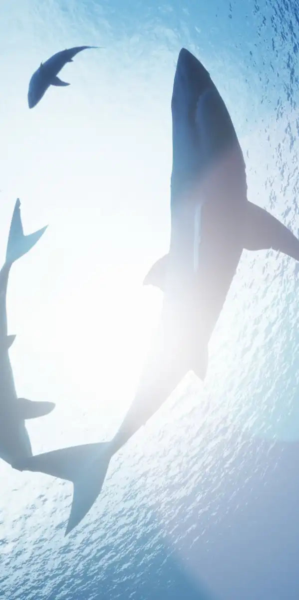School Of Sharks Wall Art