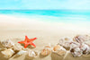 Seashells At The Beach Wall Art