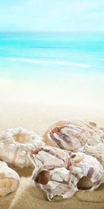 Seashells At The Beach Wall Art