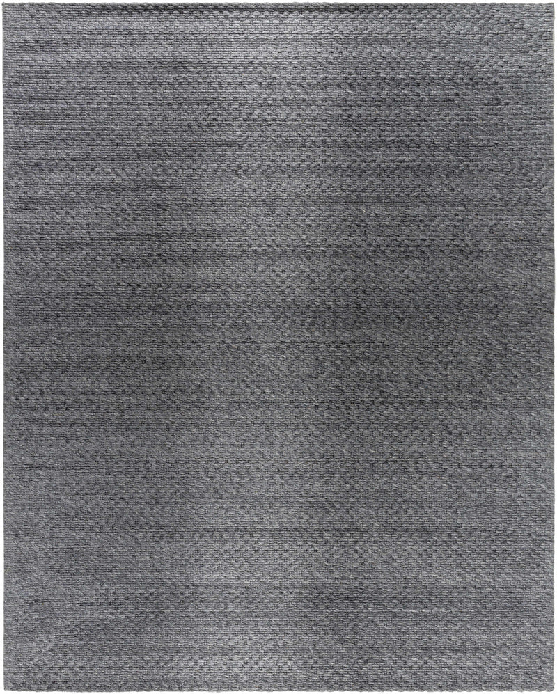 Kassa Dark Gray Hand Woven Area Rug