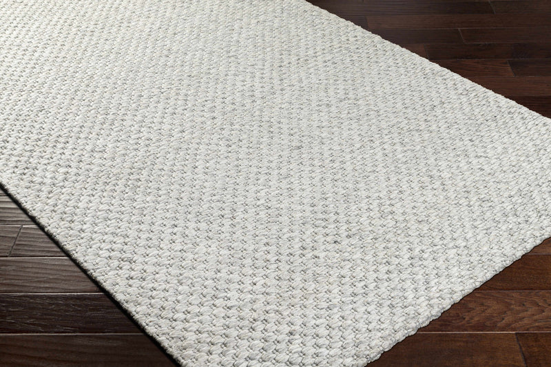 Kassa Gray Hand Woven Area Rug
