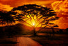 Serengeti Park Sunset Silhouette Wall Art