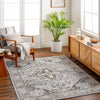 Liverpool Dark Gray Area Rug