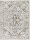 Liverpool Light Gray Area Rug
