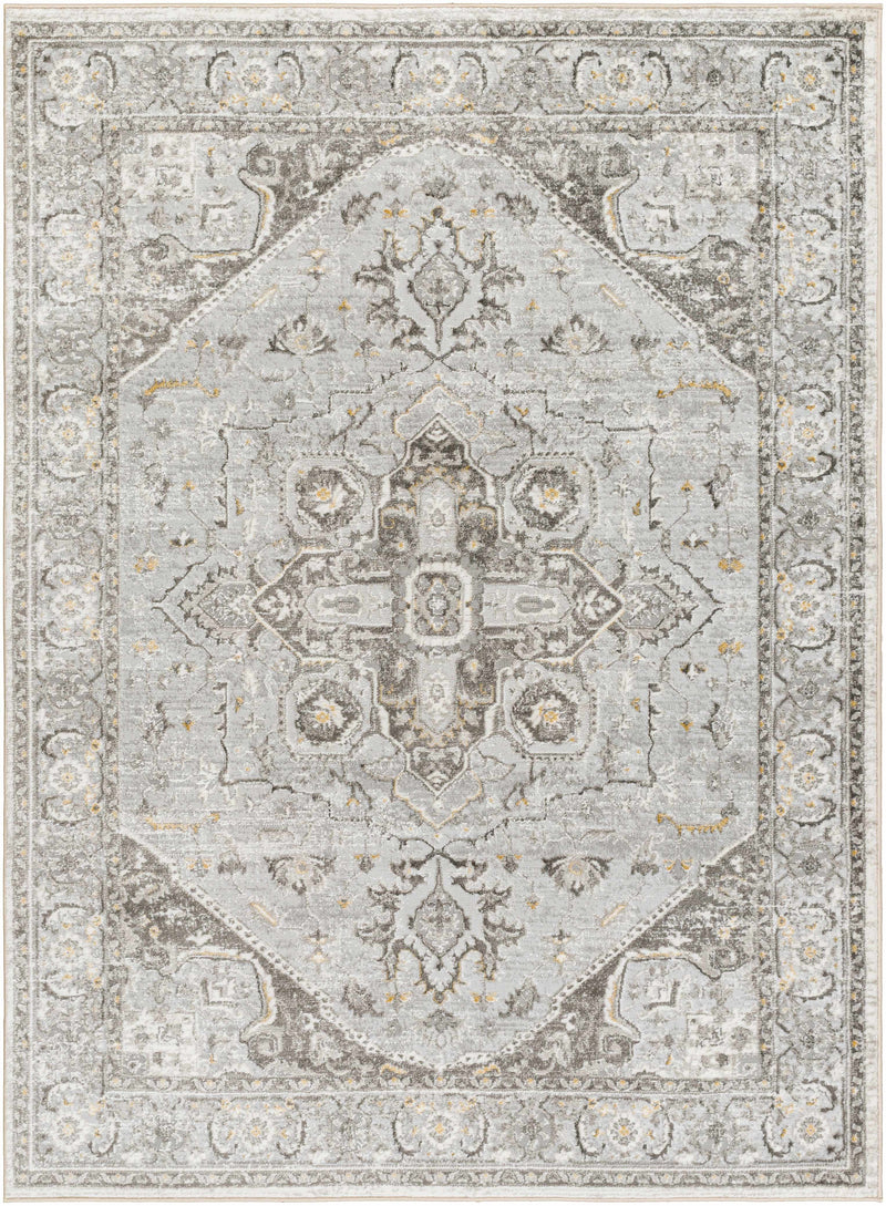 Liverpool Light Gray Area Rug