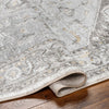 Liverpool Light Gray Area Rug