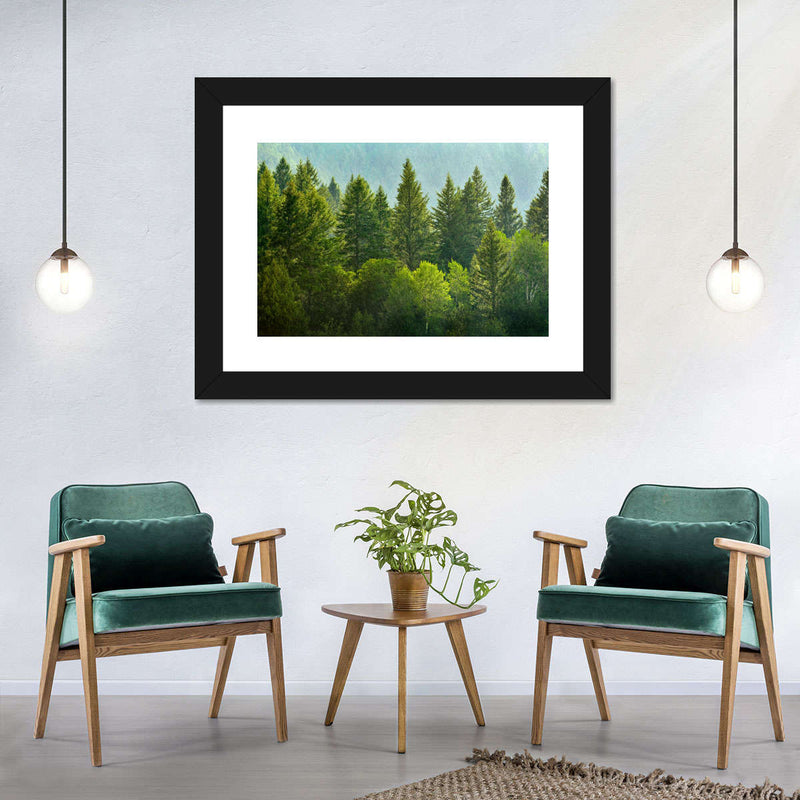Lush Green Pine Trees Wall Art