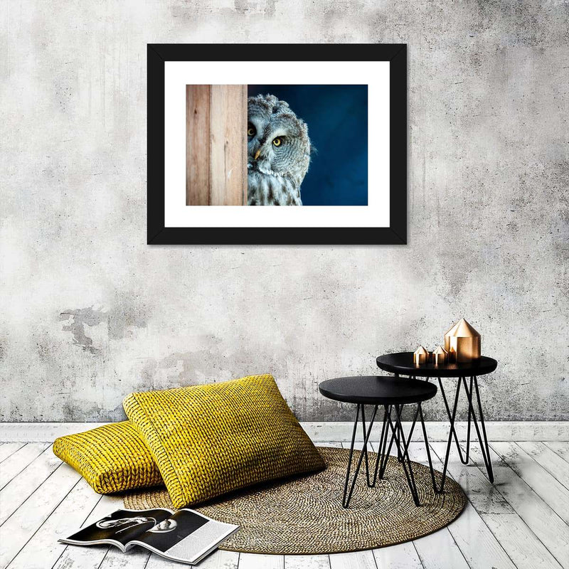 Peeking Owl Wall Art