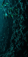 Shark Depth Wall Art