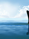 Shark Fin Wall Art