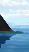 Shark Fin Wall Art
