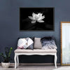 Lotus Flower Monochrome Wall Art