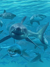 Shiver Of Sharks Wall Art