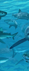 Shiver Of Sharks Wall Art