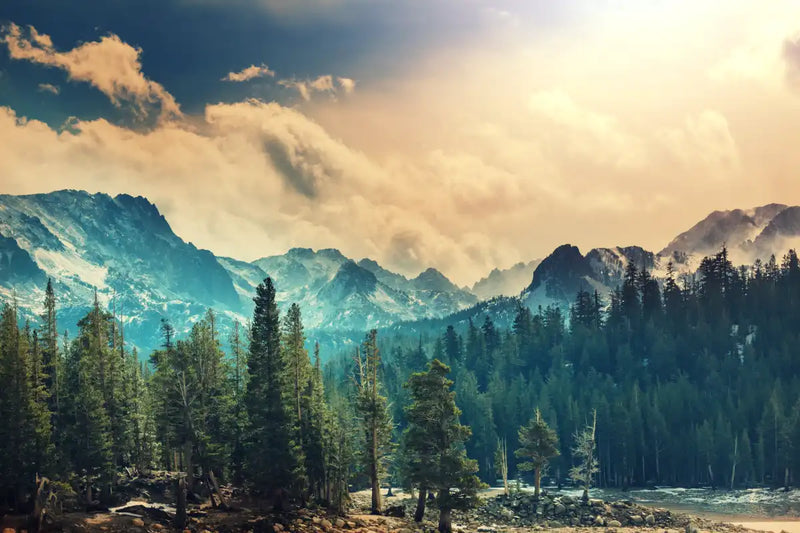 Sierra Nevada Mountainscape Wall Art