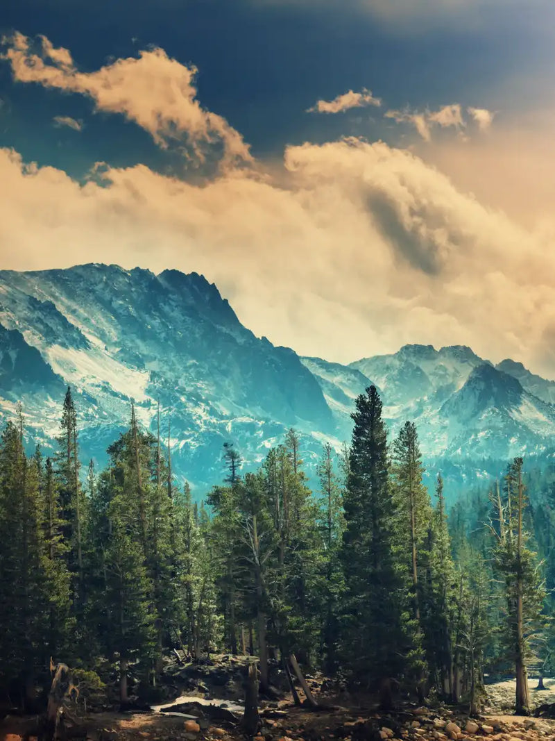 Sierra Nevada Mountainscape Wall Art