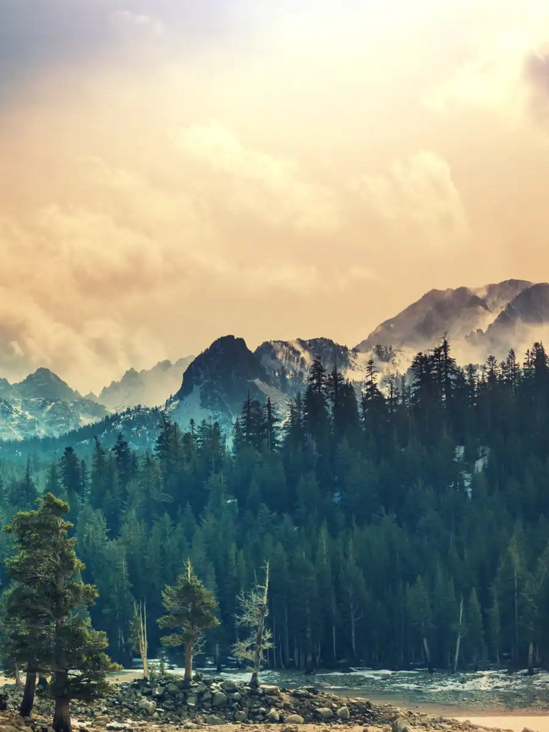 Sierra Nevada Mountainscape Wall Art