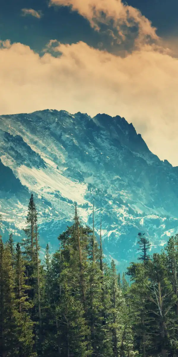 Sierra Nevada Mountainscape Wall Art