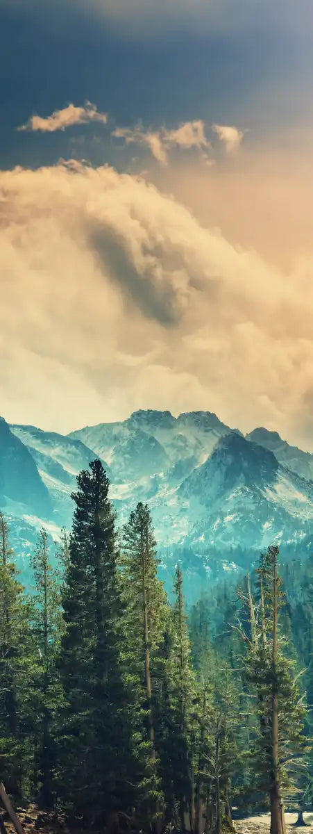 Sierra Nevada Mountainscape Wall Art