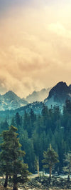 Sierra Nevada Mountainscape Wall Art