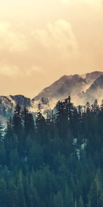 Sierra Nevada Mountainscape Wall Art