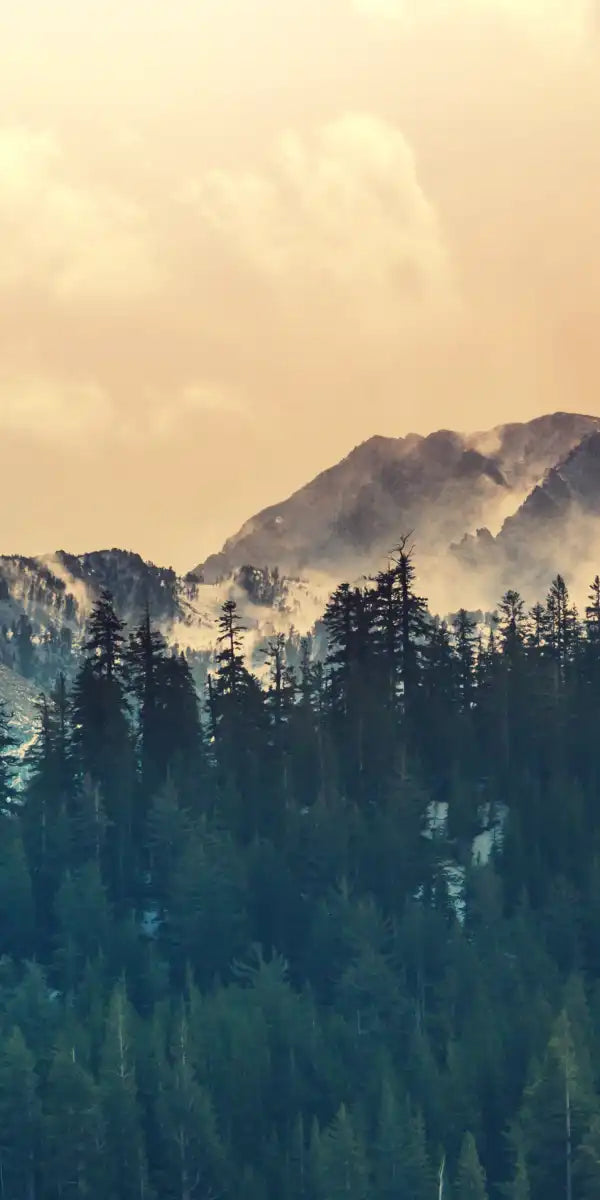 Sierra Nevada Mountainscape Wall Art