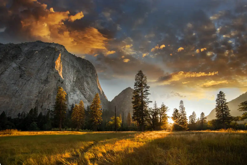 Sierra Nevada Wall Art
