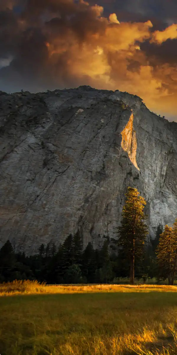 Sierra Nevada Wall Art
