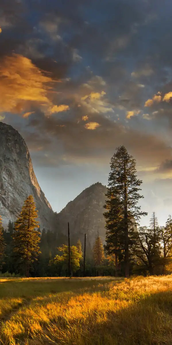 Sierra Nevada Wall Art