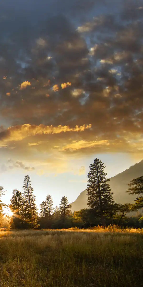 Sierra Nevada Wall Art