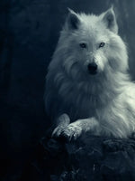 Simple Wolf Wall Art