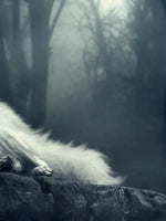 Simple Wolf Wall Art