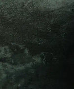Sinister Wolves Wall Art