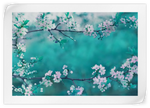 White Cherry Blossoms In Japan Wall Art