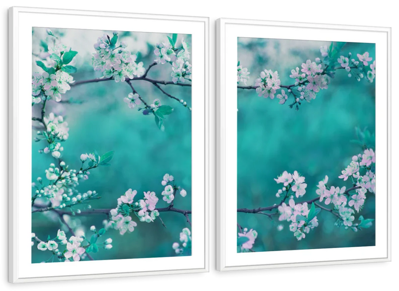 White Cherry Blossoms In Japan Wall Art