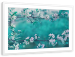 White Cherry Blossoms In Japan Wall Art