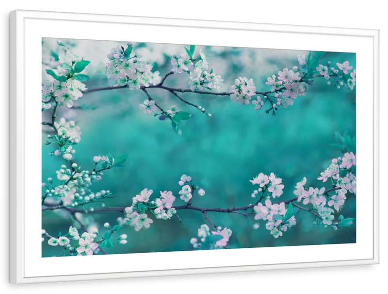 White Cherry Blossoms In Japan Wall Art