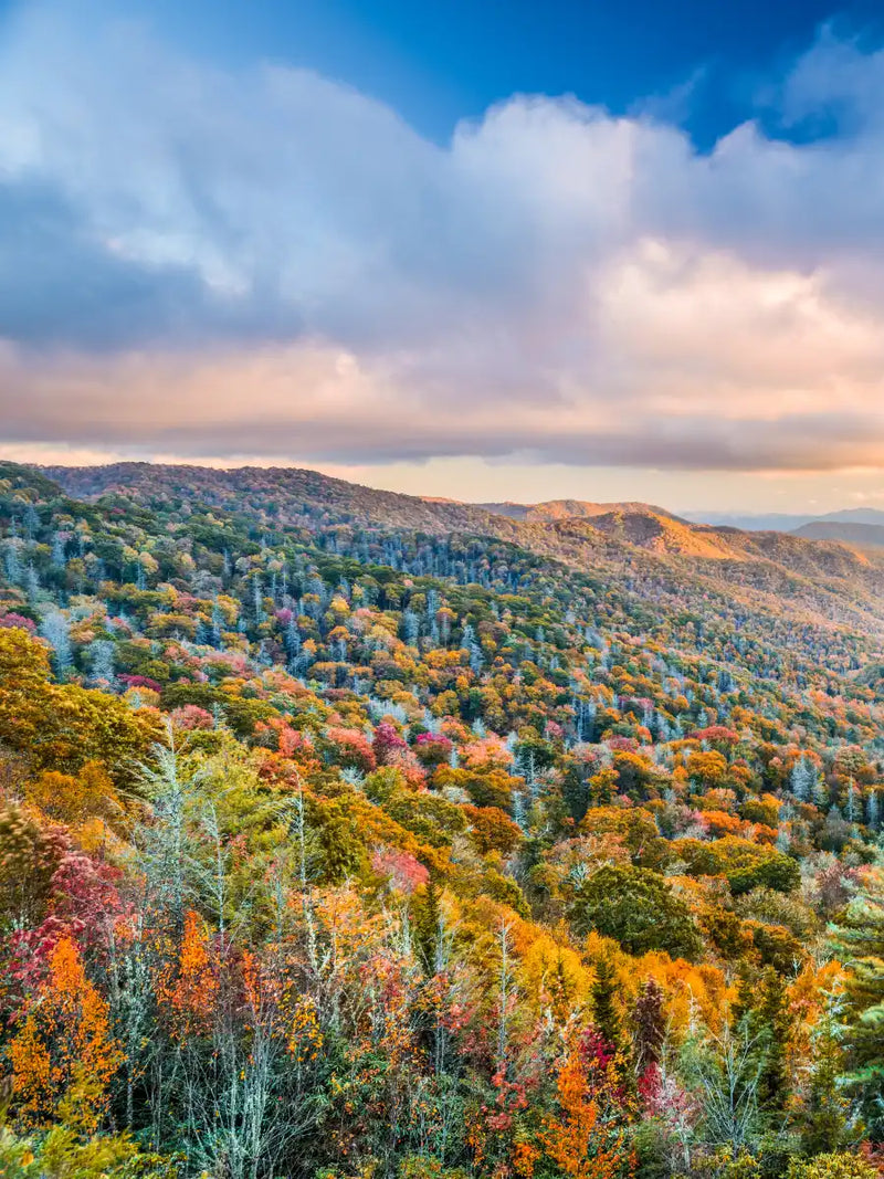 Smoky Mountains At Fall Wall Art