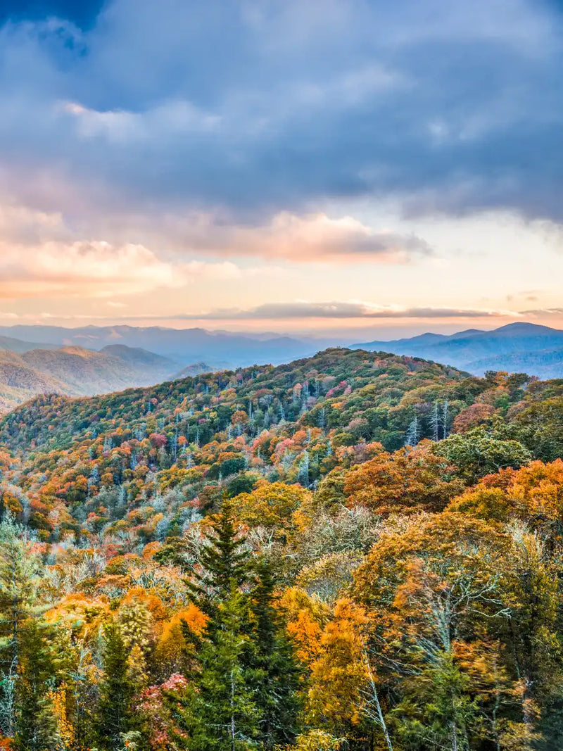 Smoky Mountains At Fall Wall Art