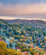 Smoky Mountains At Fall Wall Art
