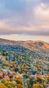 Smoky Mountains At Fall Wall Art