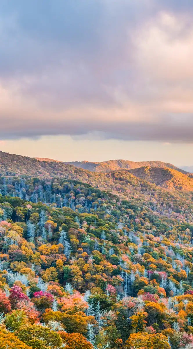 Smoky Mountains At Fall Wall Art