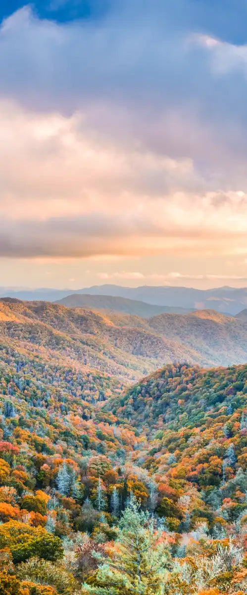 Smoky Mountains At Fall Wall Art
