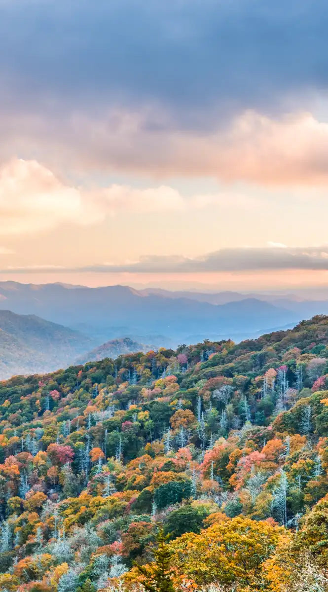 Smoky Mountains At Fall Wall Art